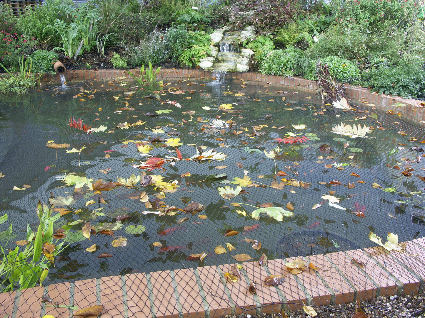 Blagdon 1022415 Clearview Pond Cover Netting, Strong Double Weave, Black, Fine, with 10 Fixing Pegs, Net Size 6m x 5m (20? x 16? 6?), Protects Pond