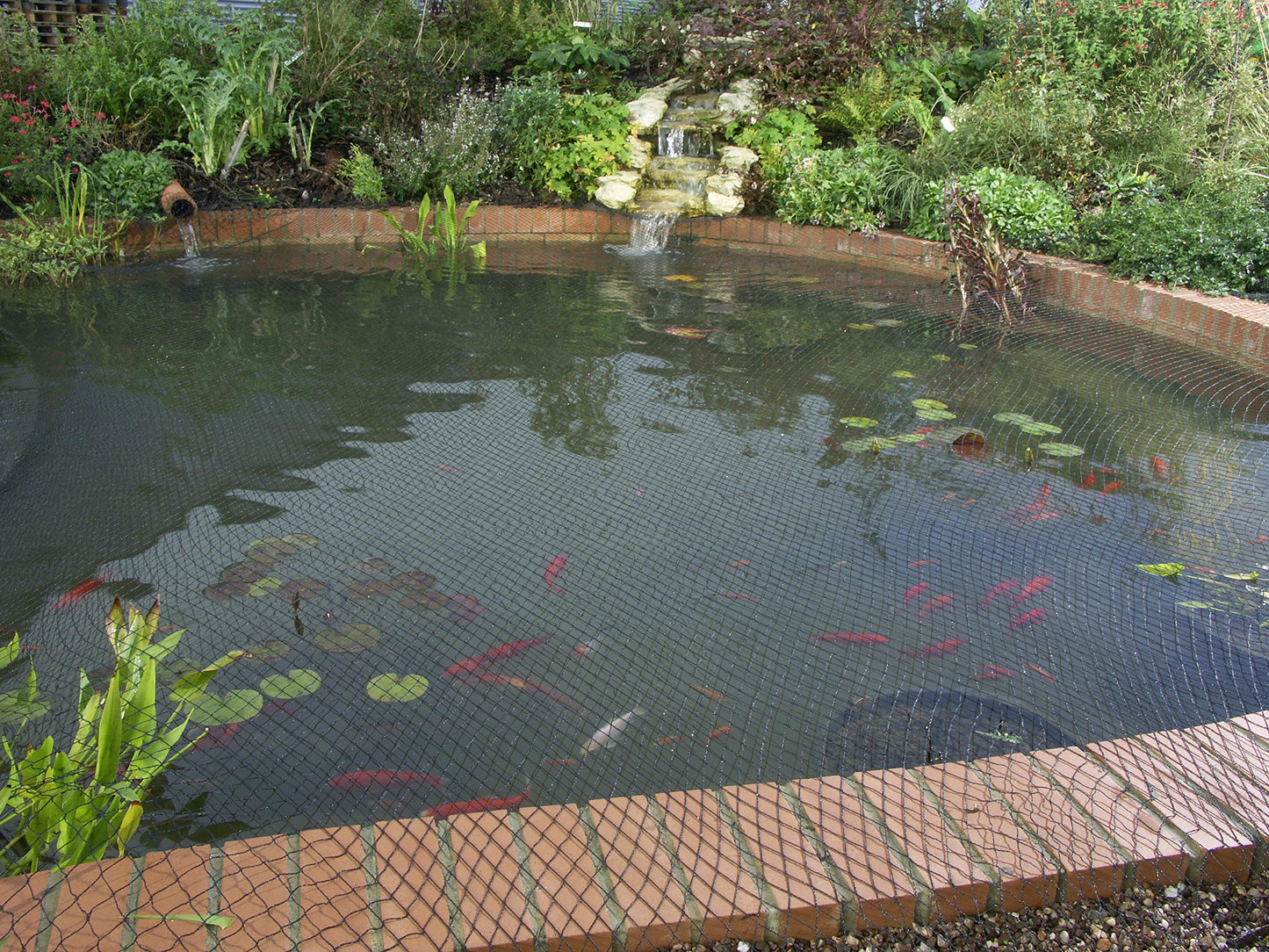 Blagdon 1022415 Clearview Pond Cover Netting, Strong Double Weave, Black, Fine, with 10 Fixing Pegs, Net Size 6m x 5m (20? x 16? 6?), Protects Pond