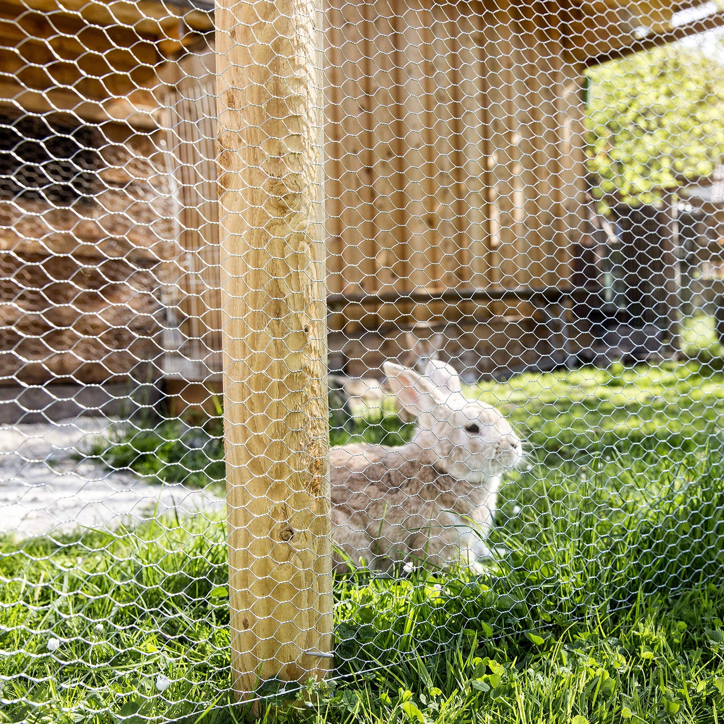 Windhager Small Animal Mesh Galvanised 1 x 10 m