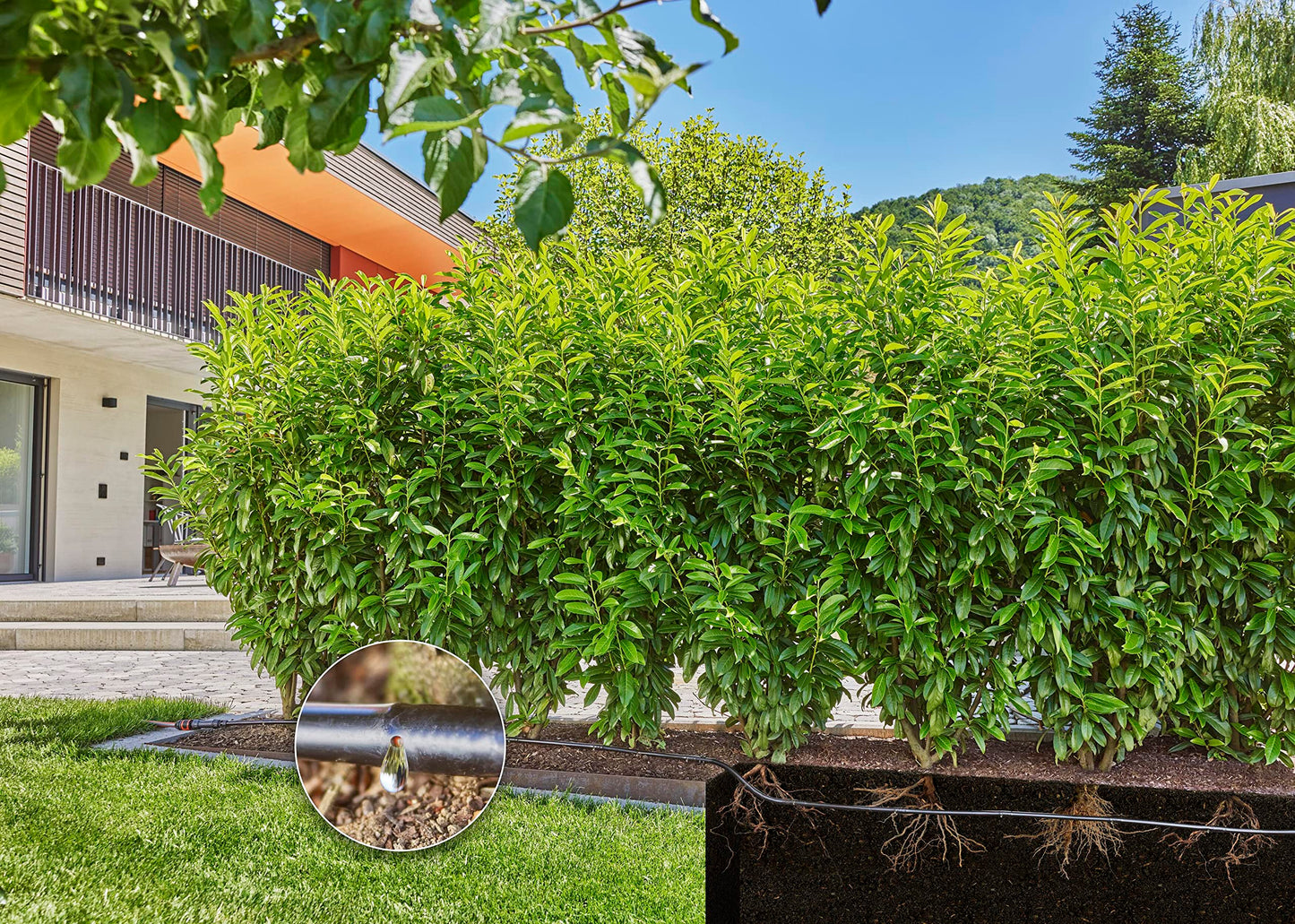 Gardena Micro-Drip-System Drip Irrigation Set Hedges/Bushes (25 m): Starter set, ready to use, water-saving irrigation system, simple & flexible