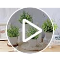 Roqueen 4 Pack Mini Fake Plants Small Potted Artificial Plants Plastic Plants for Home Bathroom Office Table Decoration