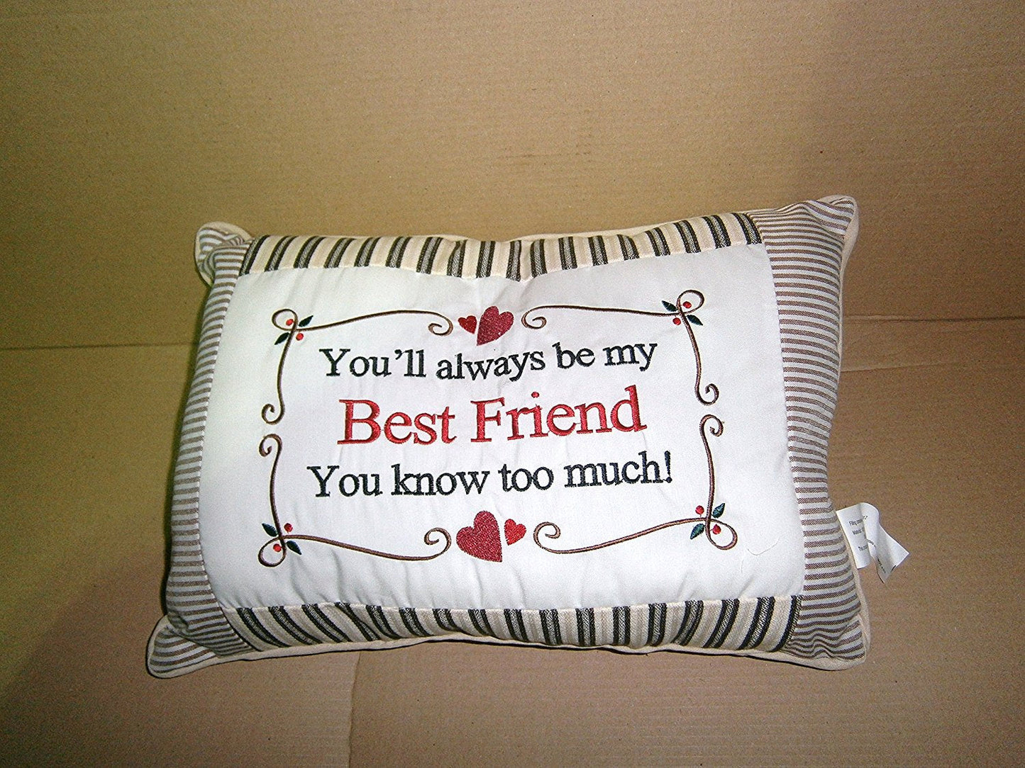 a friend cushion
