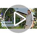 KETTOYA 50FT Expandable Garden Hose, Flexible Water Hose with 10-Pattern Spray Nozzle, Leak-Proof Retractable Heavy Duty Hose Pipe, 4-Layer Latex Core, Durable 3750D, Brass Alloy Connector, Kink-Free