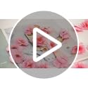 HUIANER 100PCS Artificial Silk Cherry Blossom Flower Heads, Fake Fabric Floral Head Petals Decor for Bridal Hair Clips Headbands Dress DIY Accessories Wedding Party Supply Table Decorative (Pink)