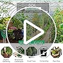 LIUNOVIP Soil PH Meter, Moisture 3-in-1 Tester, Plant Testing Kit with Moisture/Light/PH, Suitable for Lighting and of Gardens, Farm Potted (No Battery Needed), Green-523
