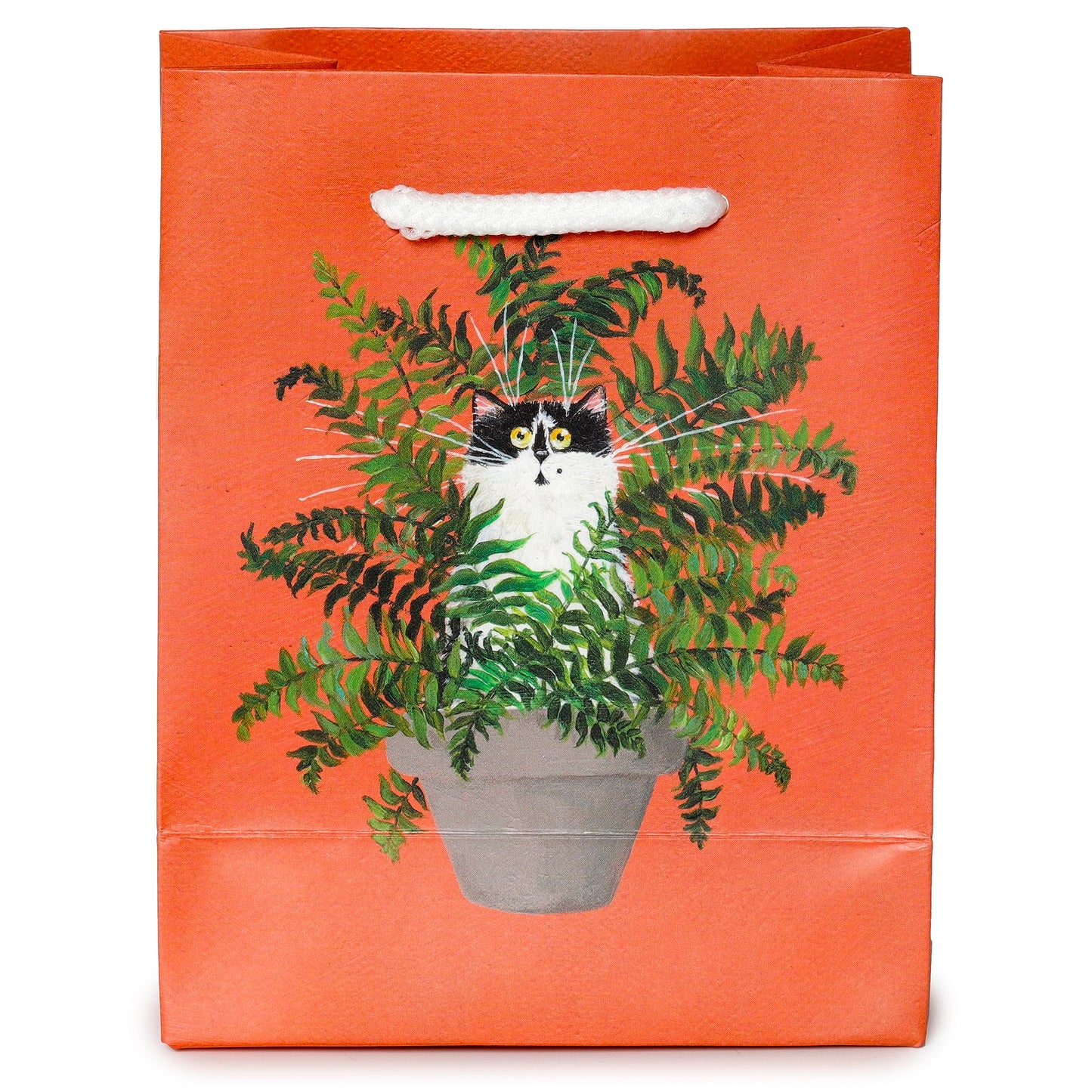 Puckator Kim Haskins Floral Cat in Fern Red Gift Bag - S - Birthday Gift Bag - Gift Bag For Presents - Present Bag For Females - Kids Birthday Presents - Present Bags For Gifts - Gift Box For Baby