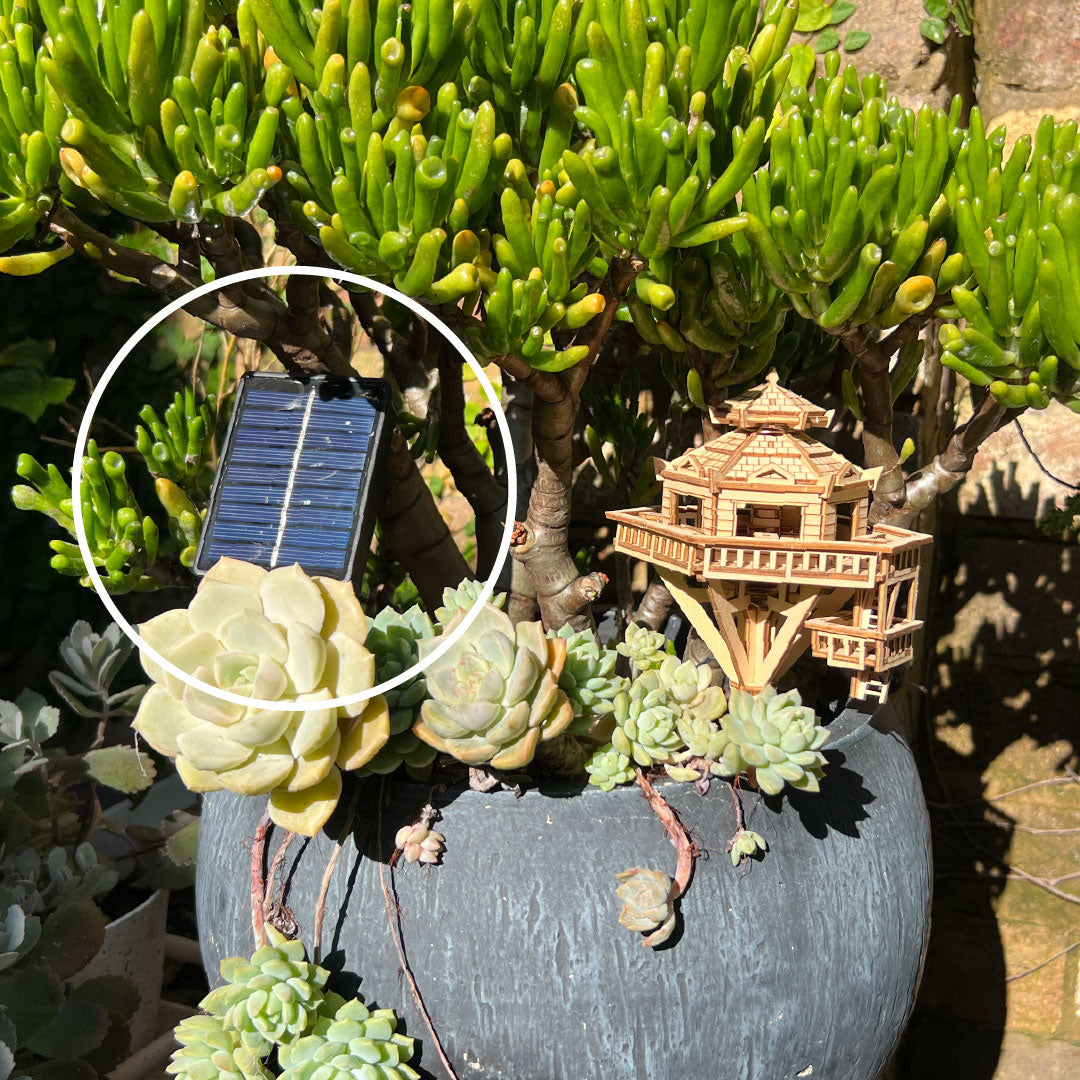 Solar Lights