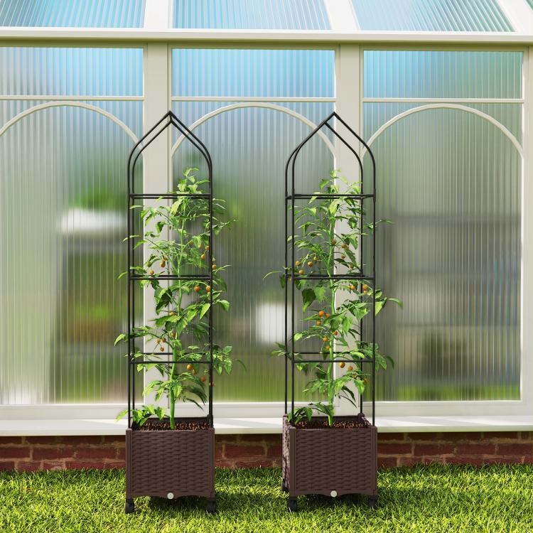 Raised Garden Bed with Trellis, Tomato Cage with Lockable Wheels, Self Watering Planter Box with Drainage Holes, Brown