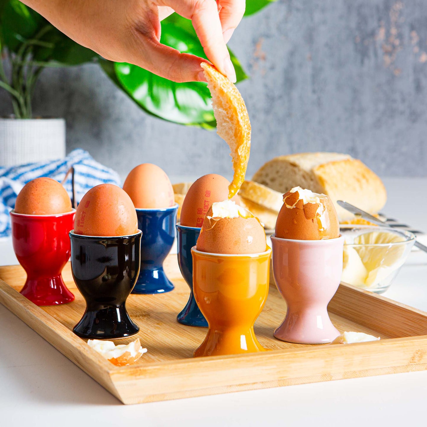 Coloured Stoneware Egg Cups - Pack of Six