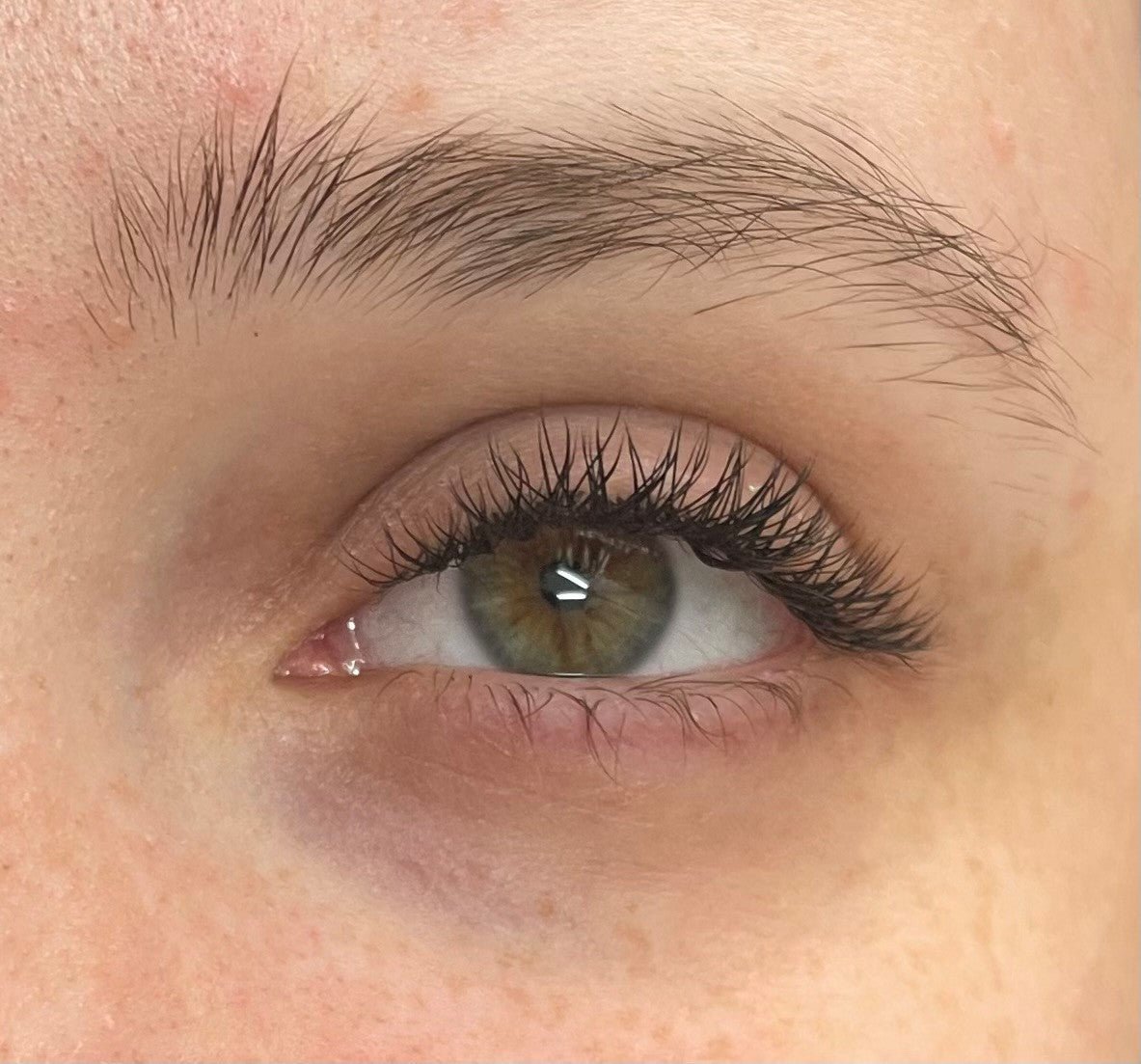 YY Lash Tray Single Length