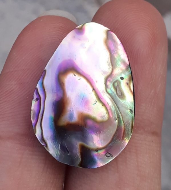 13ct Abalone Shell - Haliotis Iris, Paua Shells, Nacre, Mother-of-Pearl, Aulon, Sea ear -24x17mm