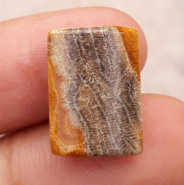 Natural Chrysanthemum Gemstone aka Agatized Coral - 13x18mm