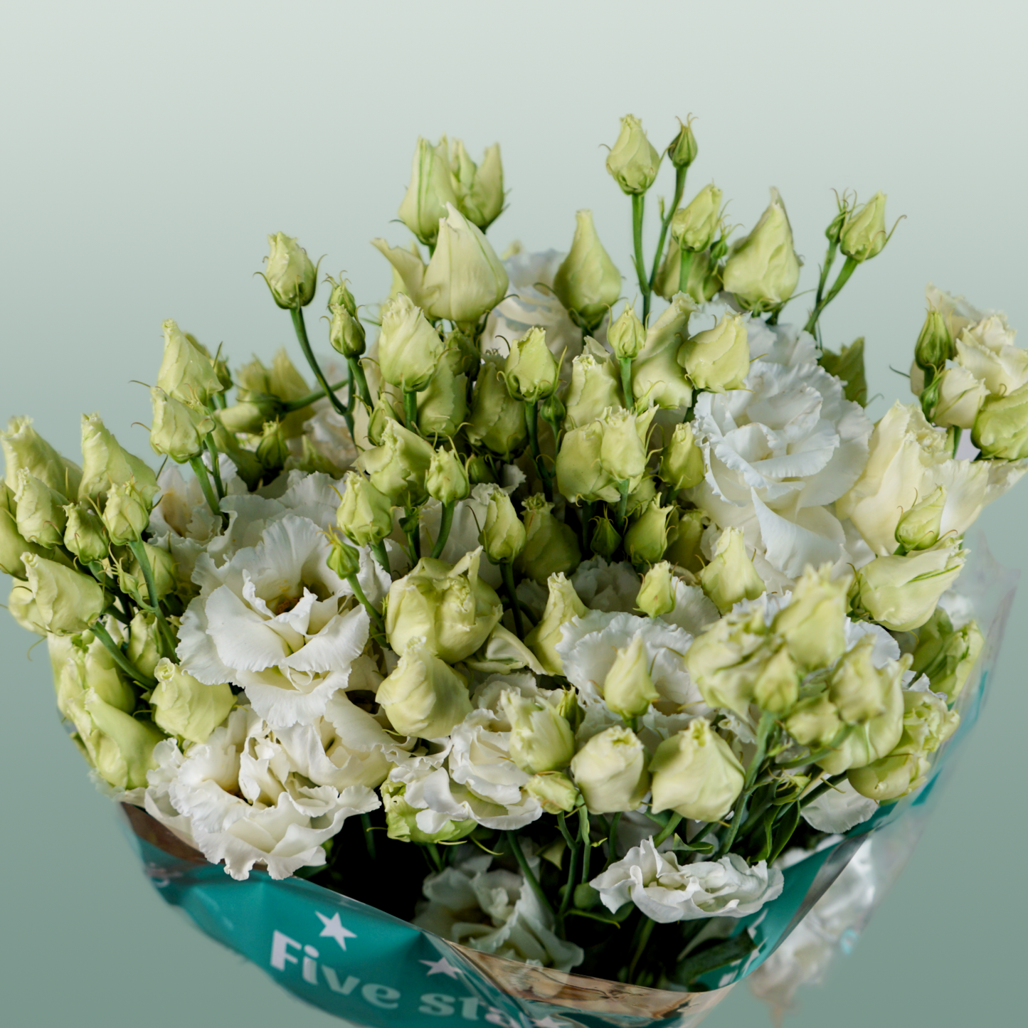 White Lisianthus ‘Alissa White’ – 70cm Cut Stems