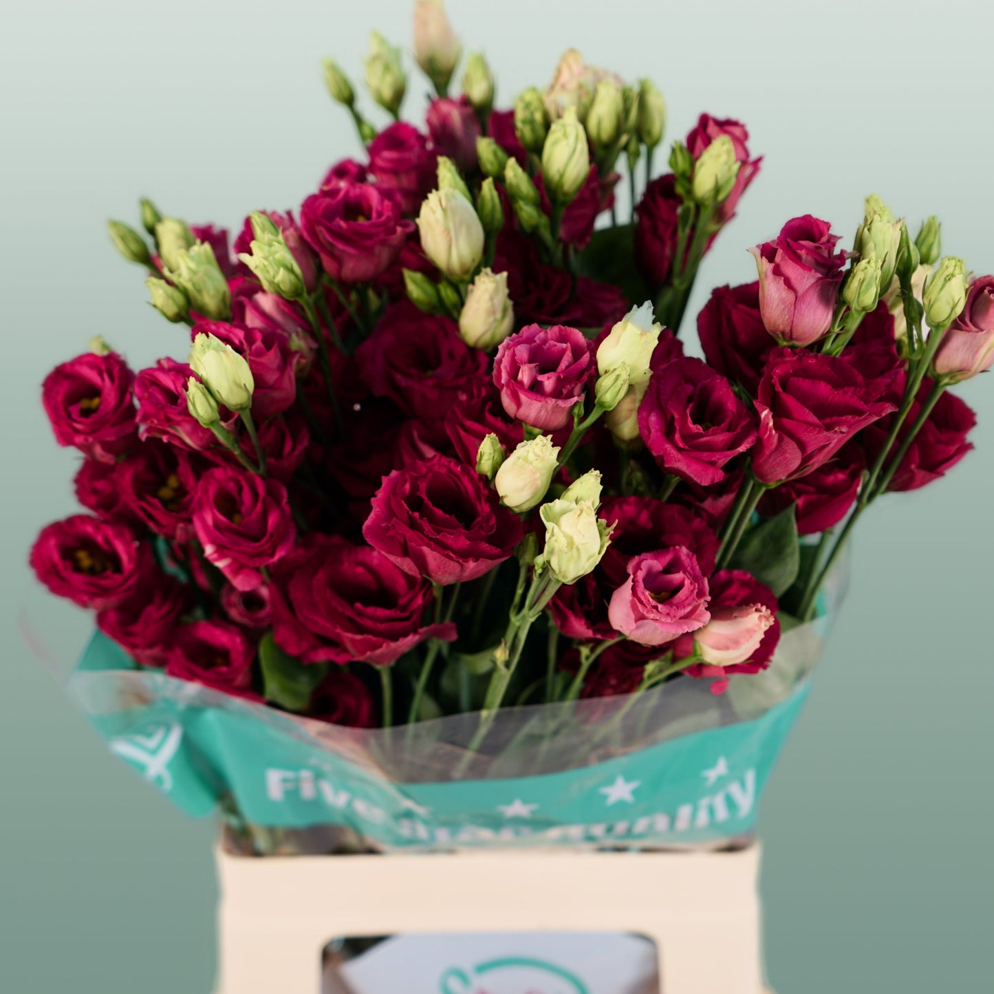 Red Lisianthus ‘Arosa Red’ – 70cm Stems