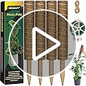 Moss Pole 56 Inch 142cm, 4 Pcs Moss Pole for Monstera, 45cm Coir Totem Pole Moss Stick for Climbing Plants Indoor Monstera Support Extension, Train Potted Creepers to Grow Upwards, 65 Feet Twist Tie