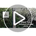 Biostretch Extra Wide Soft Tree Ties - Strong & Stretchy Support for Large Plants & Young Trees - Cut-to-Length Garden Tape for Home & Professional Gardening (16M / 52 ft)