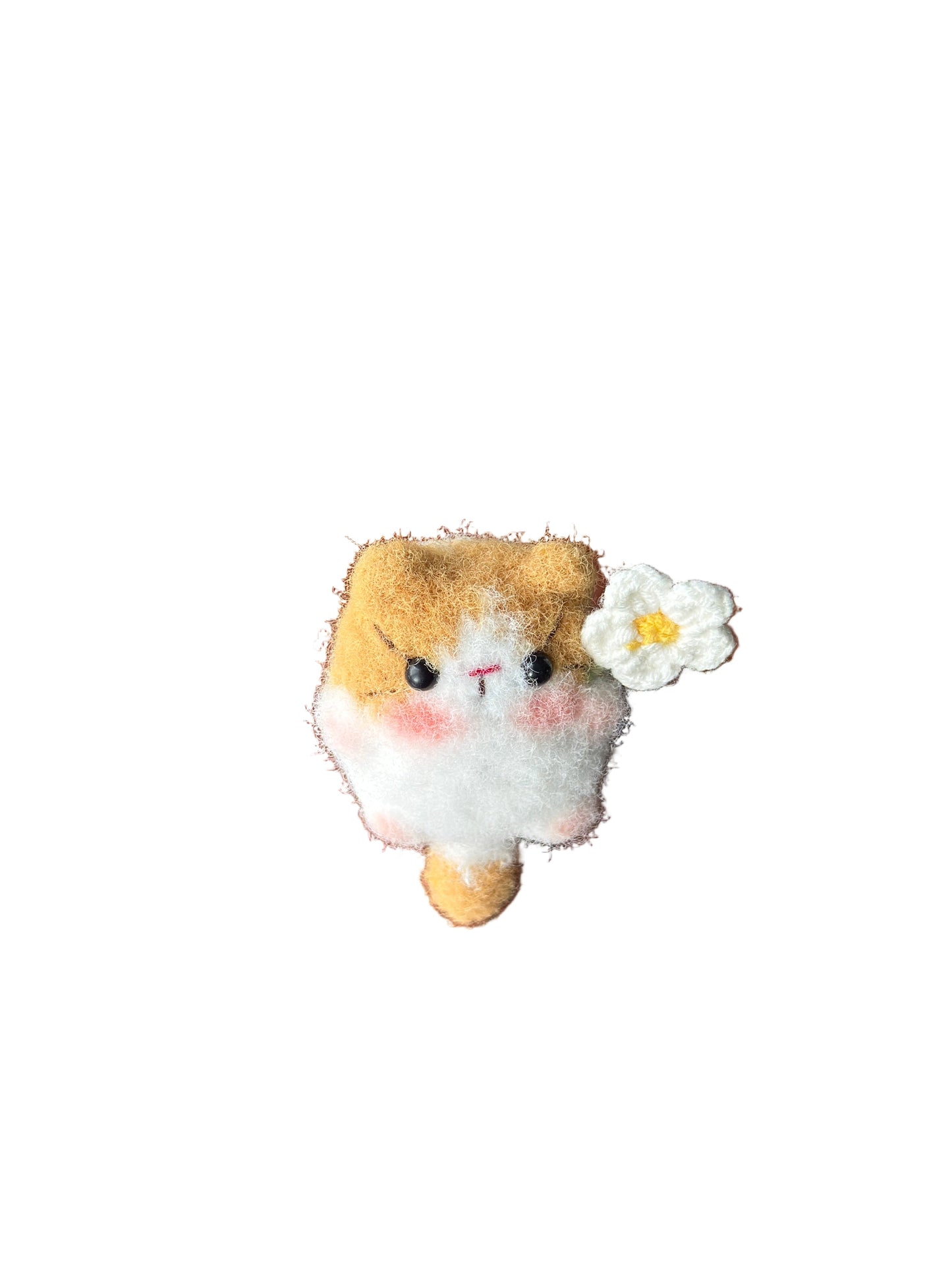 Little Square Cute Kitten Collection