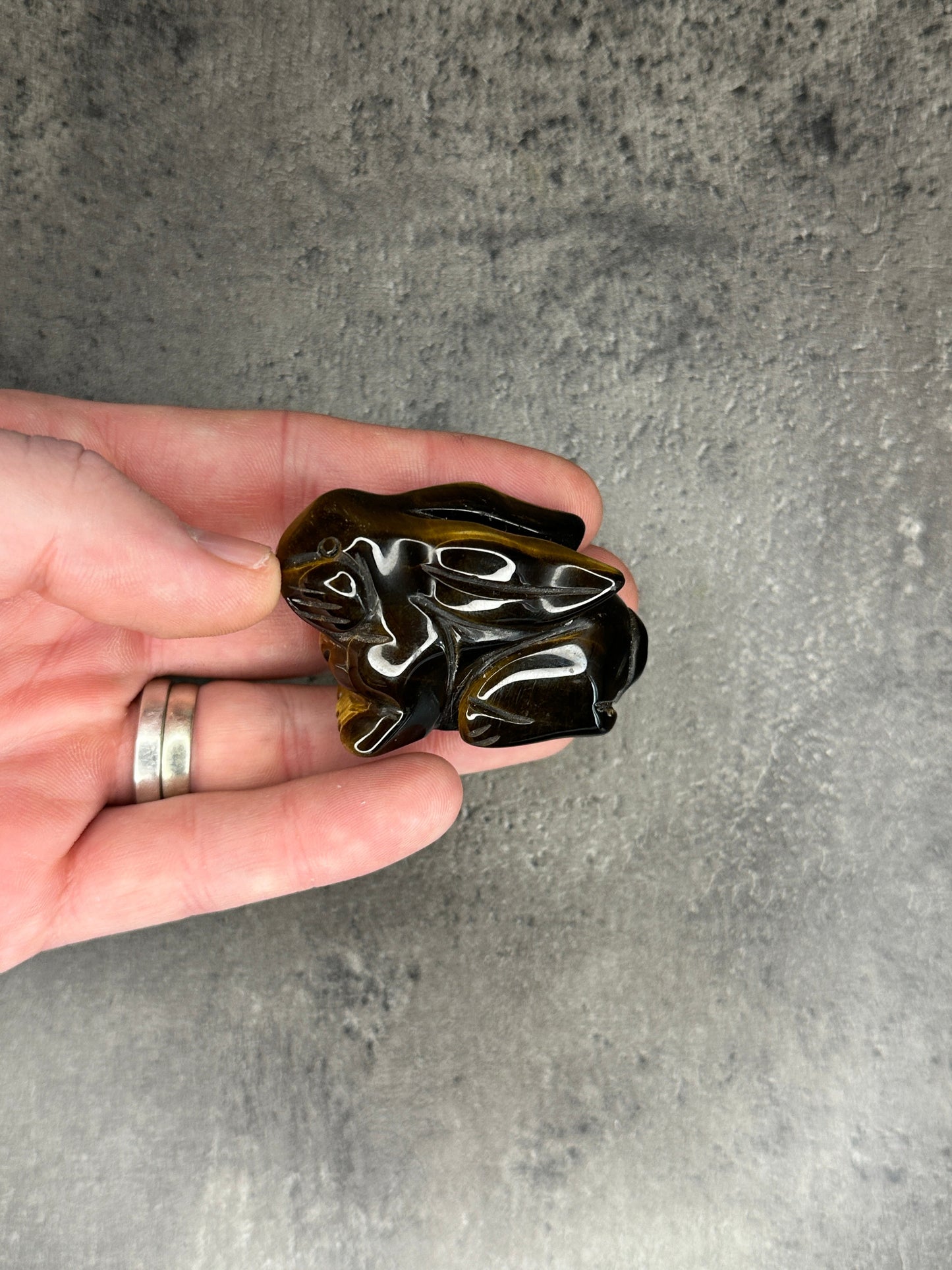 Tigers eye - Rabbit
