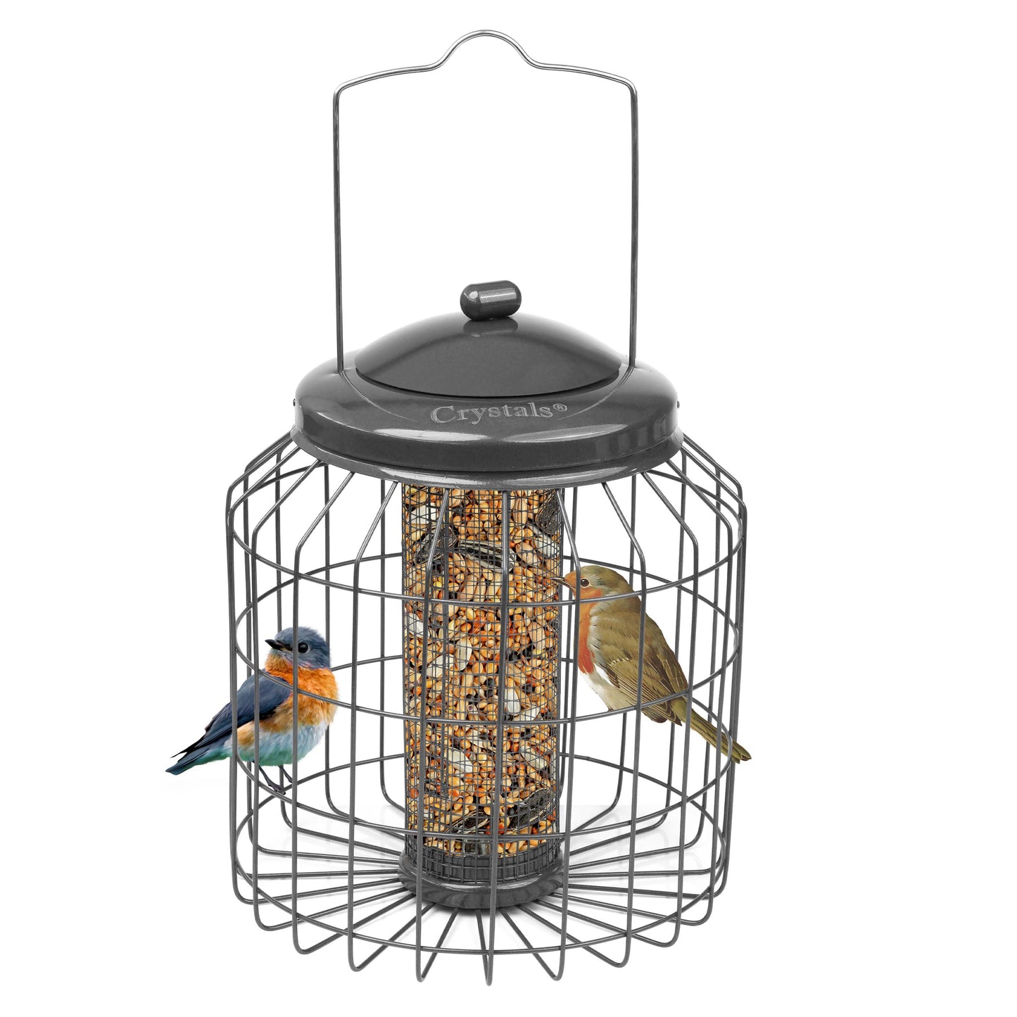 Squirrel Proof Hanging Bird Feeder