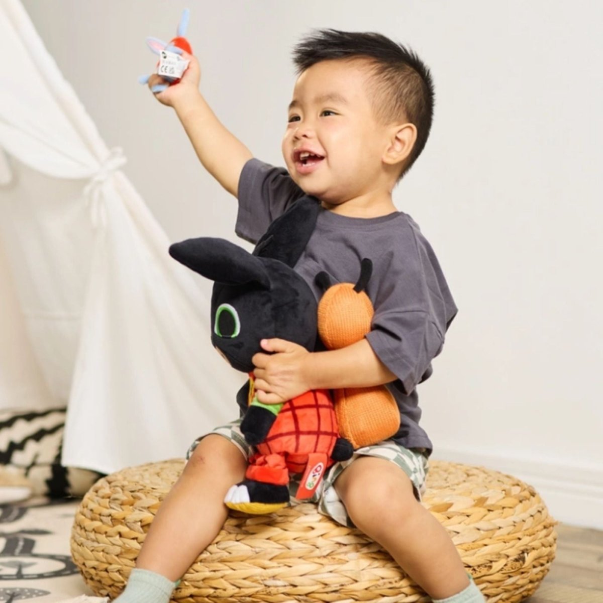 Bing Flop & Hoppity Interactive Soft Toys