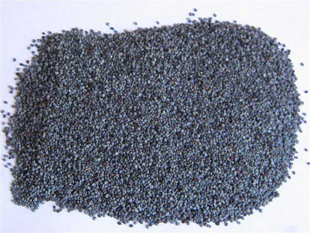 Blue Mawseed