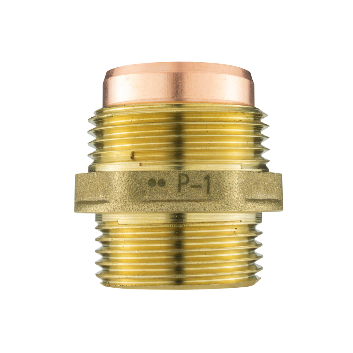Brass Compression Straight 22mm - 3/4" BSPM