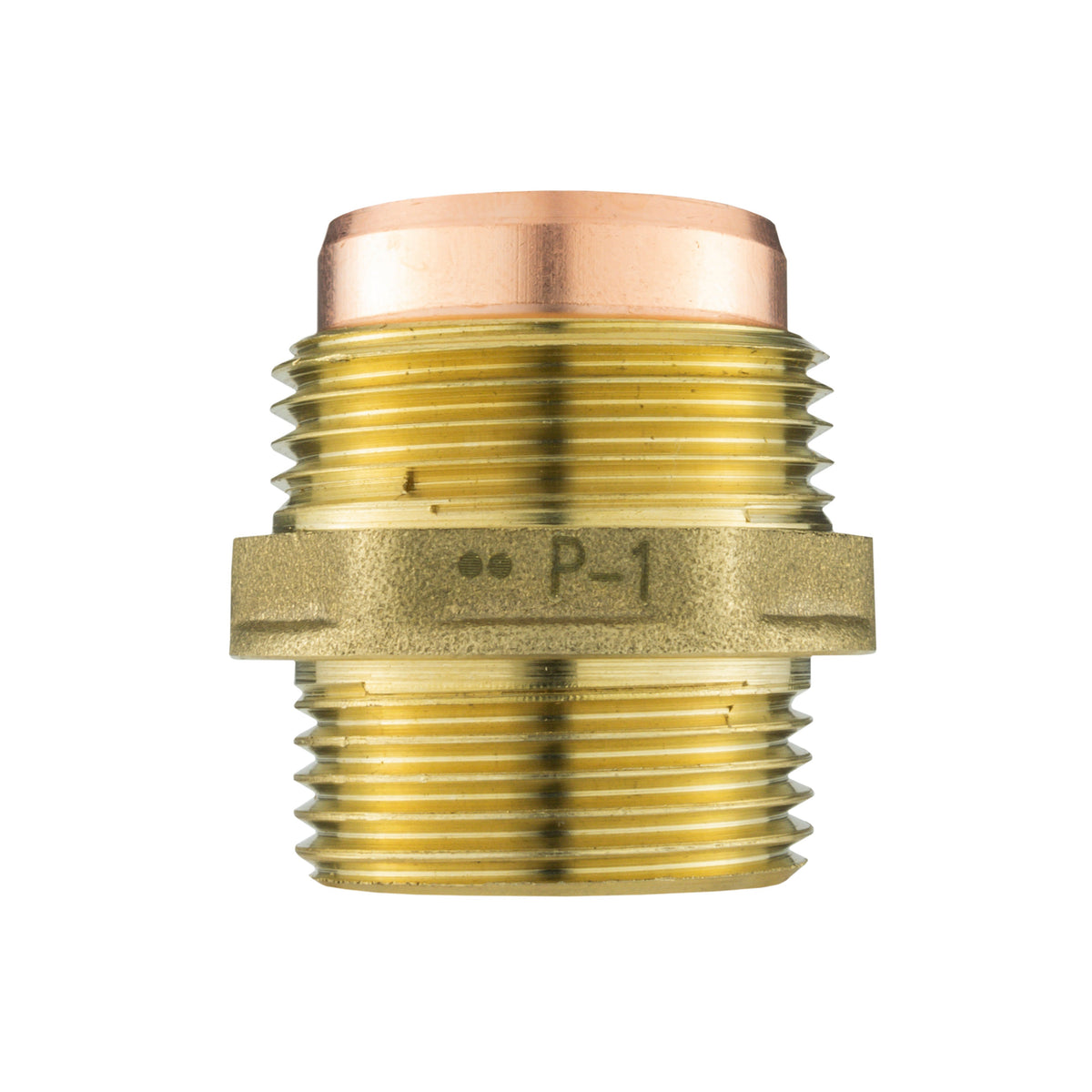 Brass Compression Straight 22mm - 3/4" BSPM