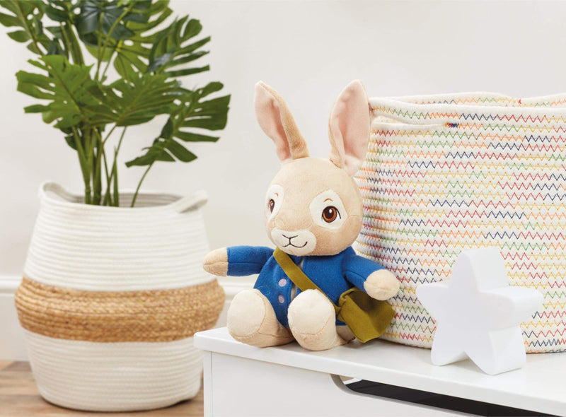 Peter Rabbit Talking Soft Toy Official Beatrix Potter Cuddly Bunny Rabbit Rainbow