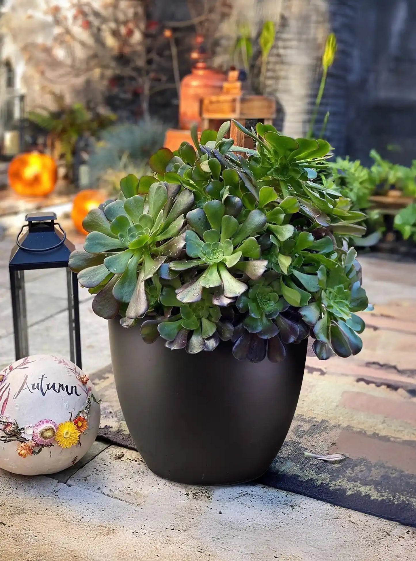 IDEALIST Lite 30cm Garden Planter | Washed Light Concrete Egg Round Planter | Contemporary Outdoor Plant Pot D30 H30 cm, 21L
