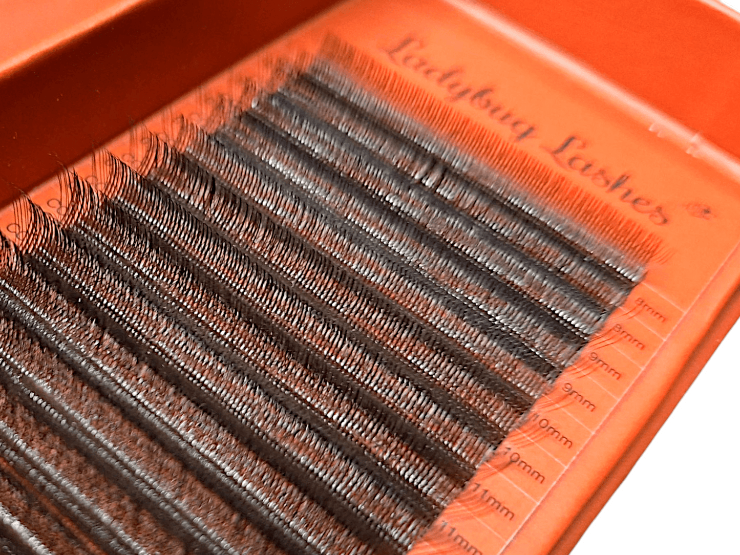 Brown W Lash Single Length