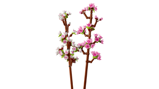 Lego Botanicals 40725 Cherry Blossoms Building Toy Gift for Ages 8+