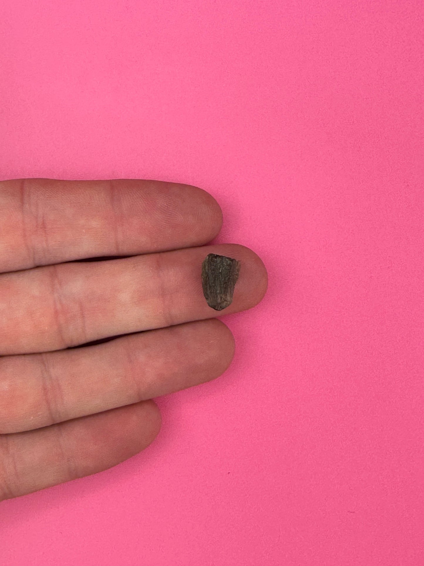Moldavite - Rough/raw pieces