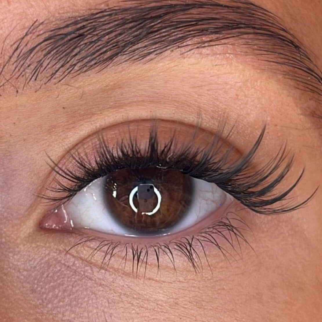 Ciara - 3D 'D' Curl Multi-Length Half Lash Ribbons®  - SALE ITEM