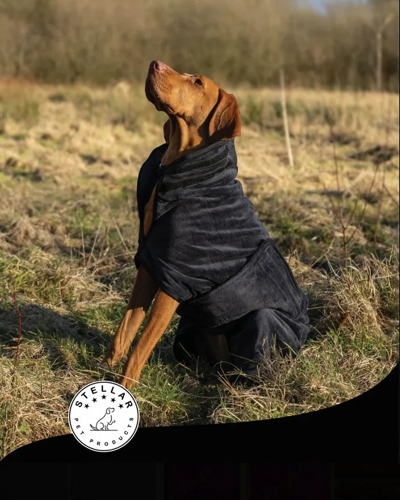 Stellar Luxury Drying Robes for Dogs