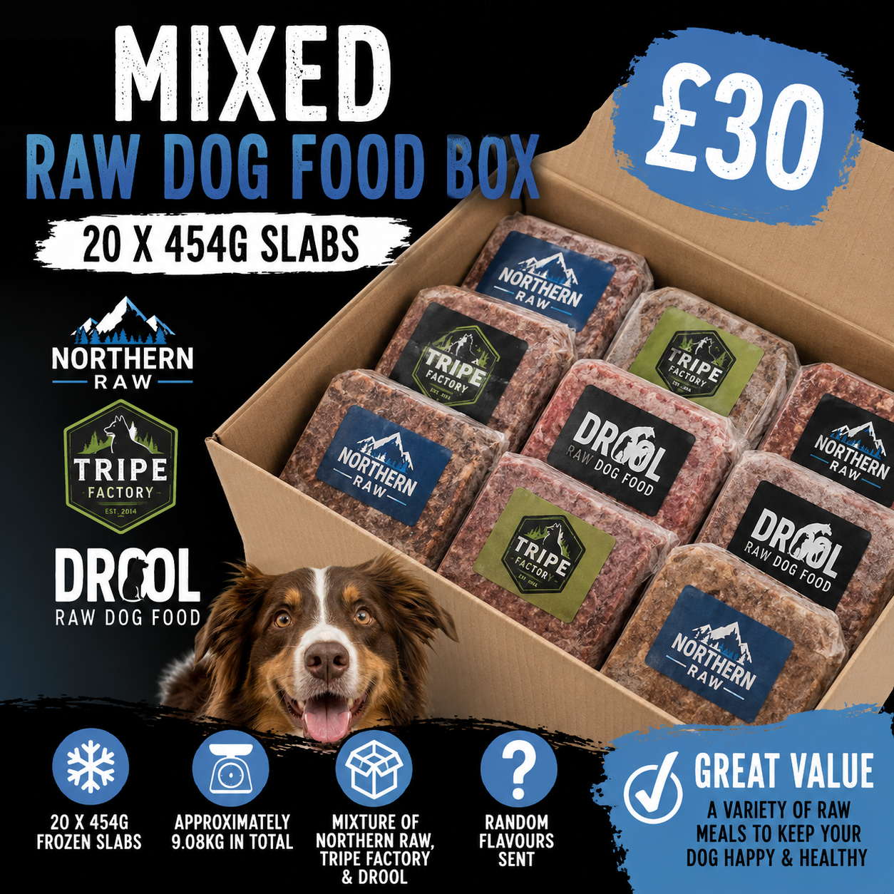 Mixed Raw Dog Food Box – 20 x 454g Slabs