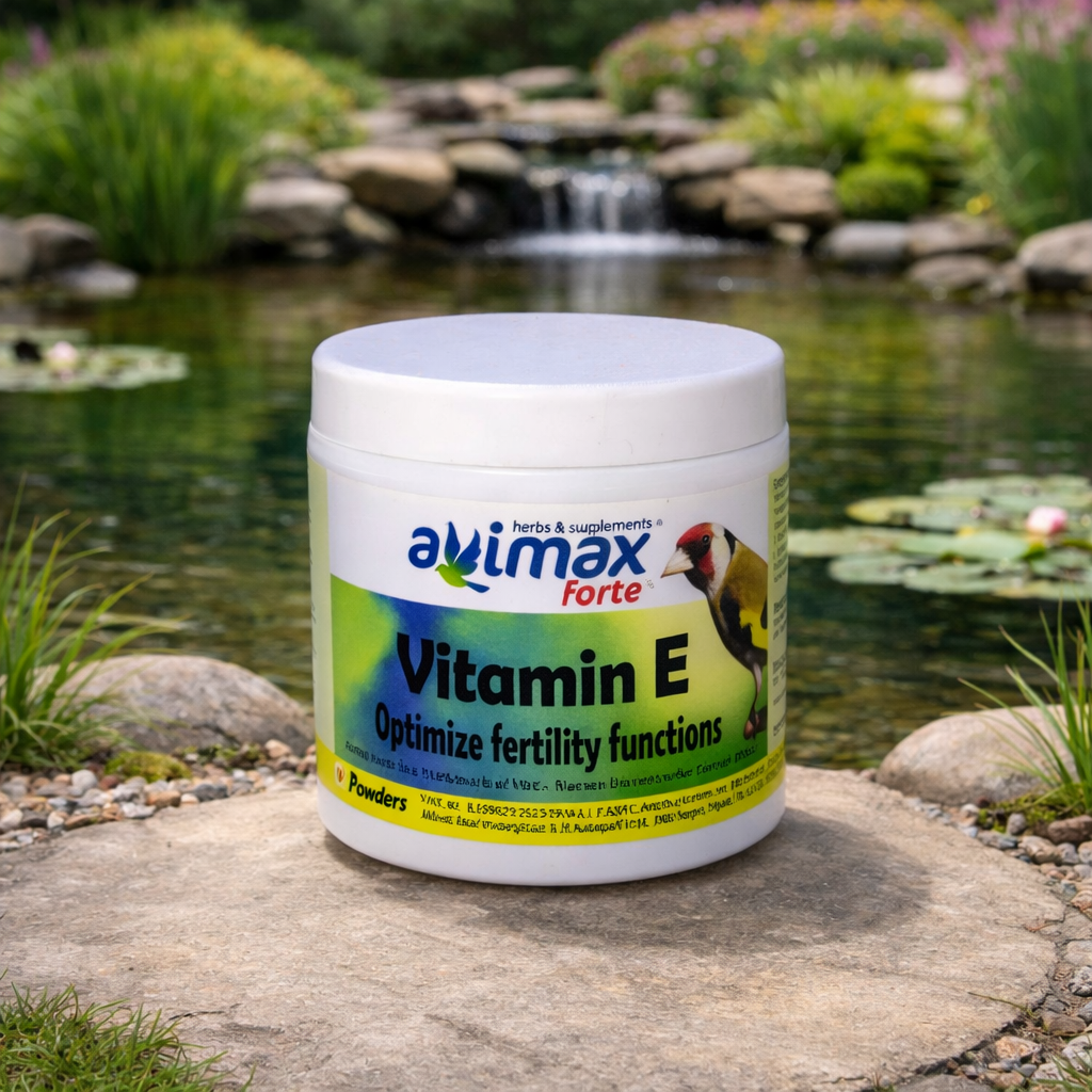 Avimax Forte - Vitamin E Powder - Bird Fertility Booster
