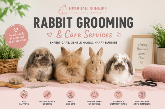 Bonded Pair Rabbit Maintenance Groom | Hebburn Bunnies