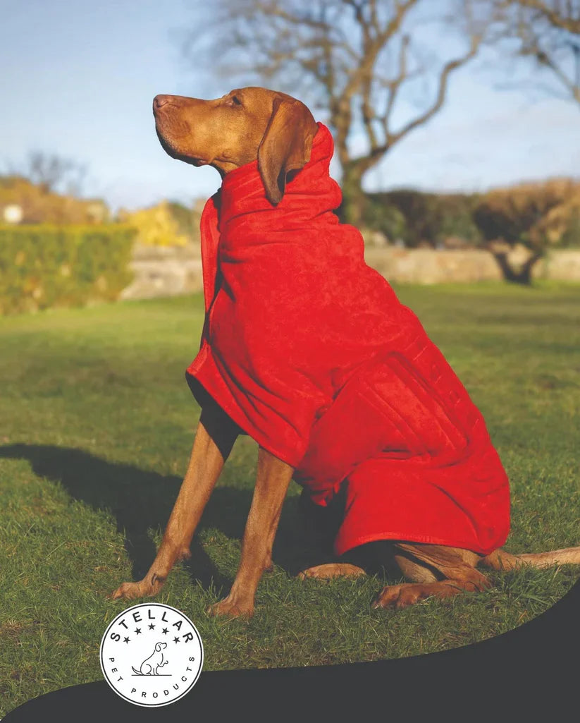 Stellar Luxury Drying Robes for Dogs