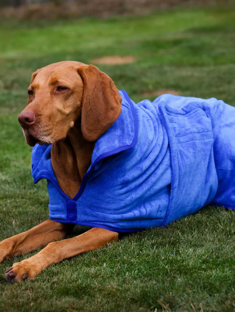 Stellar Luxury Drying Robes for Dogs