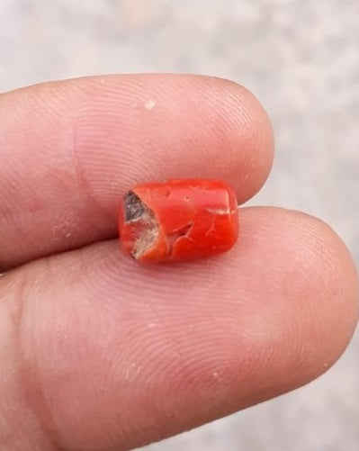 2.3ct Coral Stone - Moonga Stone - Marjan Stone - Pagadam Stone - 10x7mm