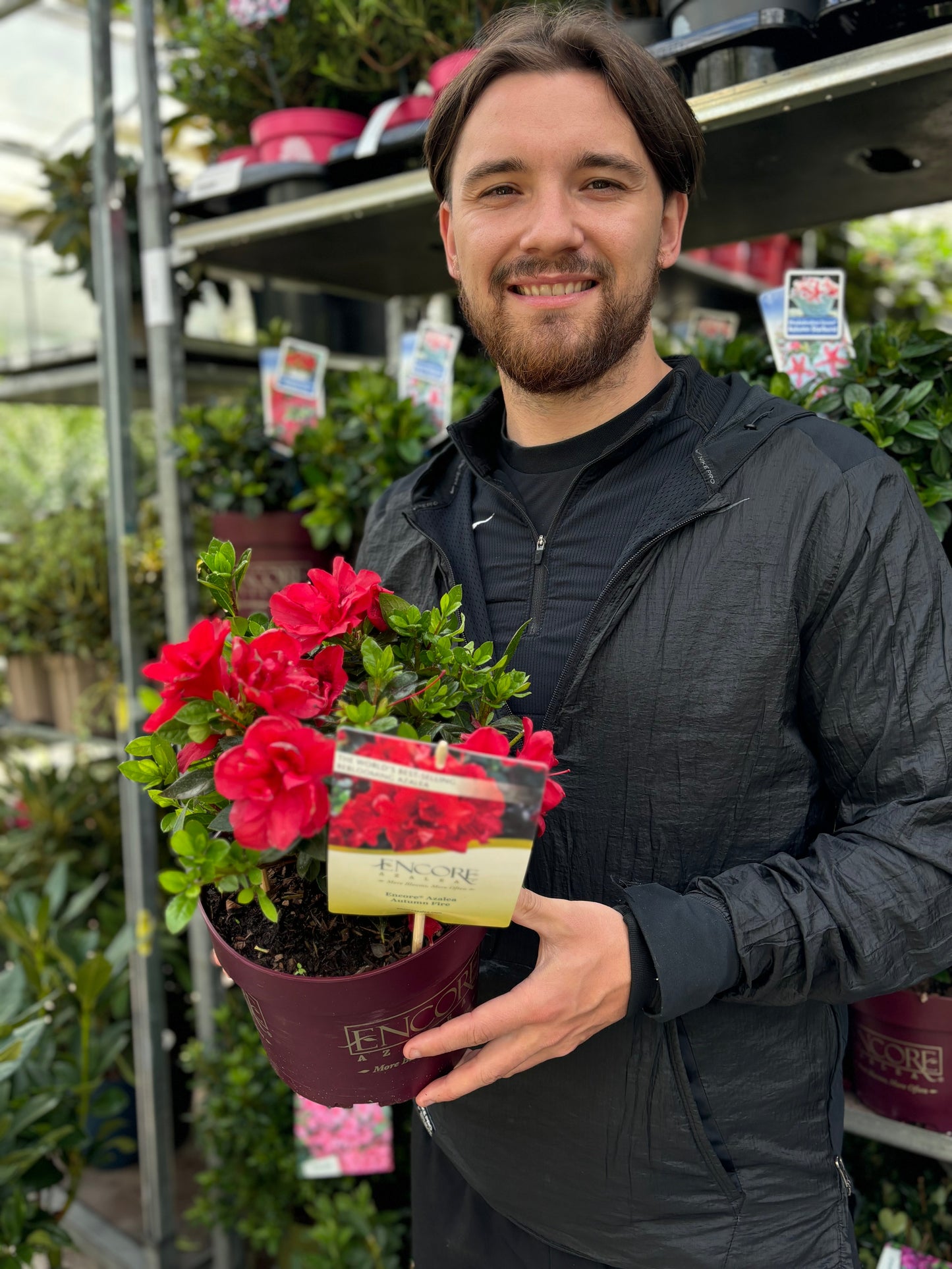 Azalea Encore 'Autumn Fire' 3L