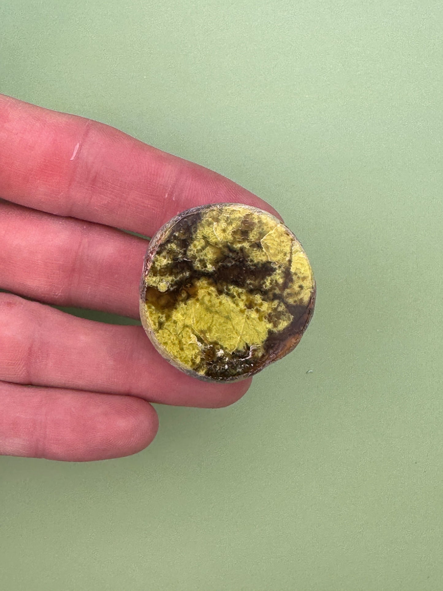 Green opal - Rough dragon egg