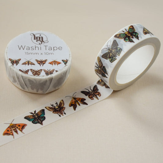 Brown Moth
