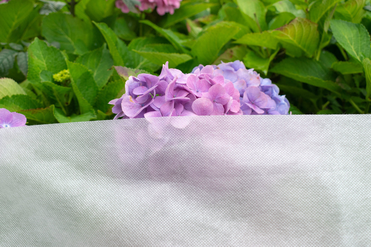 50g Non-Woven Frost Protect Fleece 1.1m x 5m