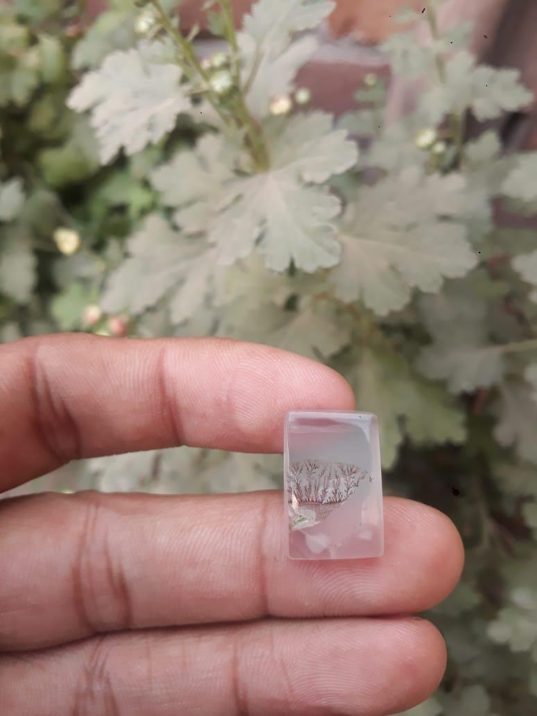 11.8ct Natural Dendritic Agate - Shajri Aqeeq - Dimension-19x12.3mm