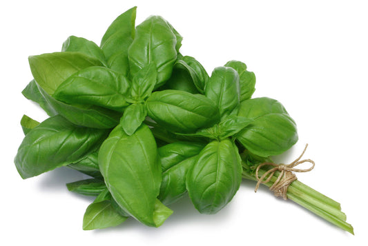 Basil (20g)