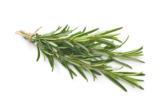 Rosemary (20g)