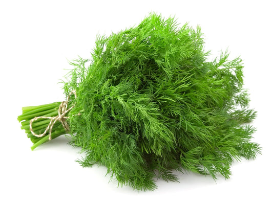 Dill (20g)
