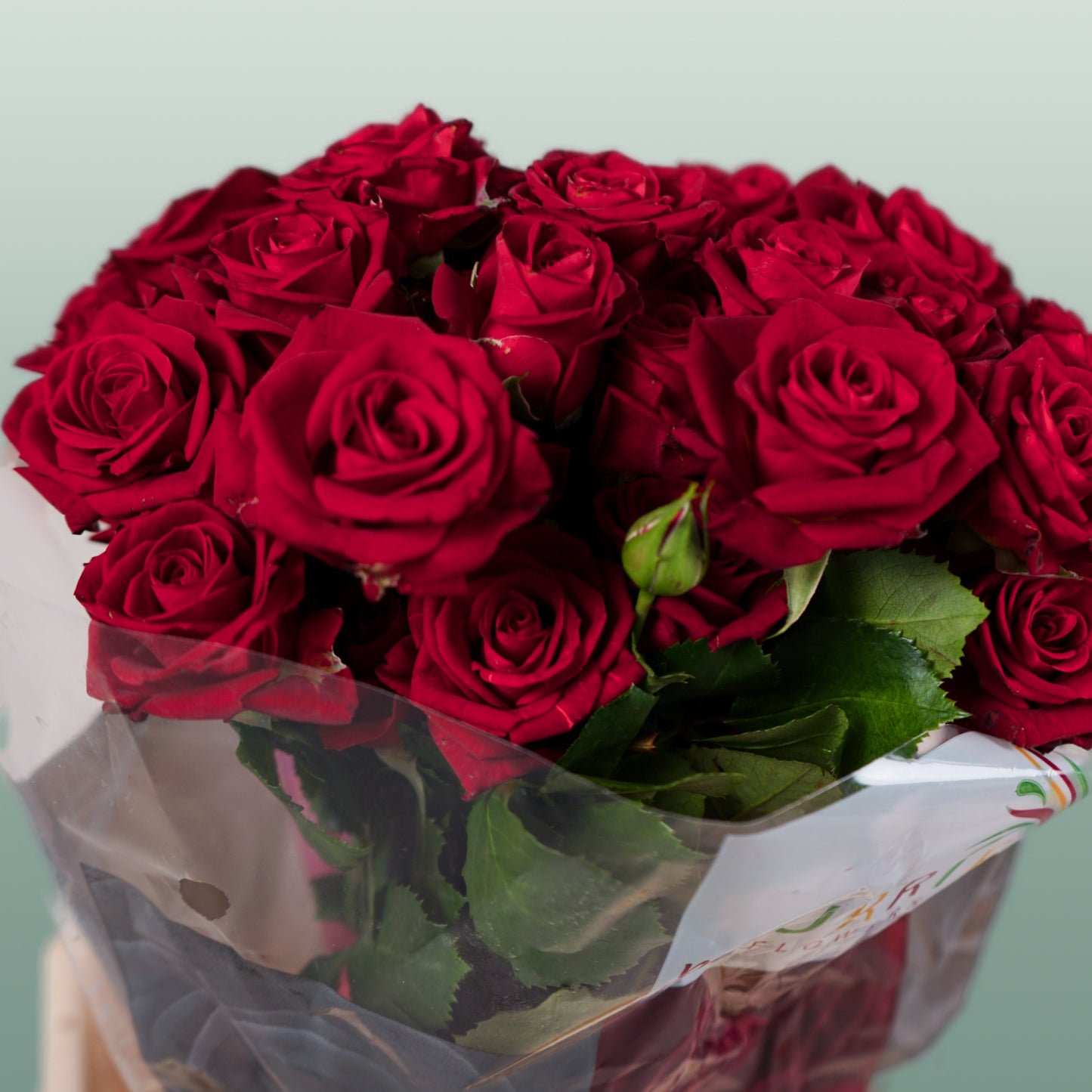 Spray Rose - Rosa - Dominica