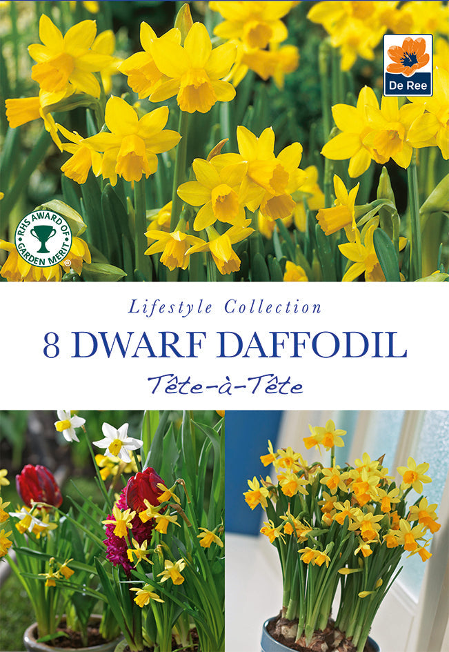 Tete a Tete Daffodil bulbs